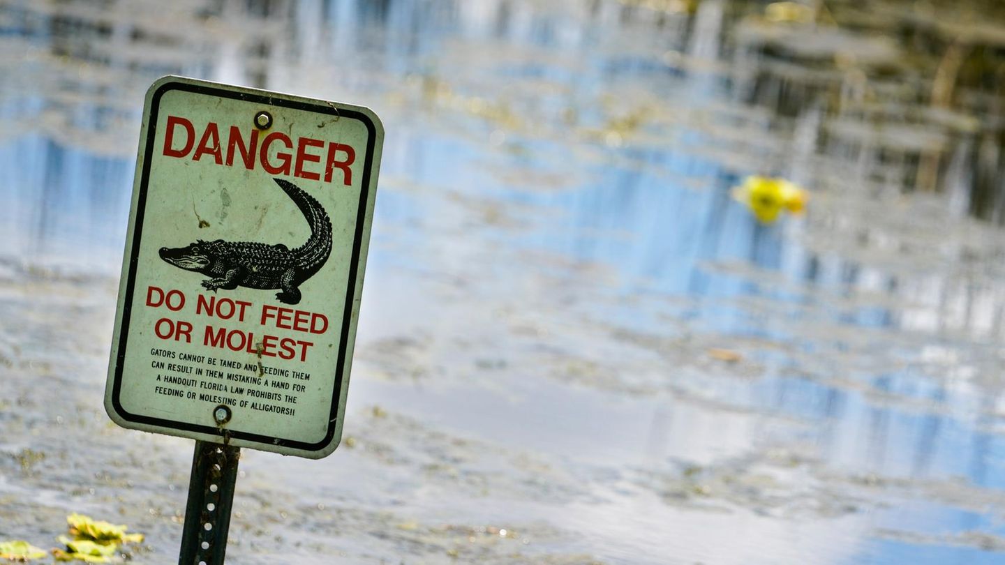 Ein Schild im John S. Taylor Park in Largo, Florida warnt: "Alligatoren nicht füttern oder belästigen" Ein Schild im John S. Taylor Park in Largo, Florida warnt: "Alligatoren nicht füttern oder belästigen"