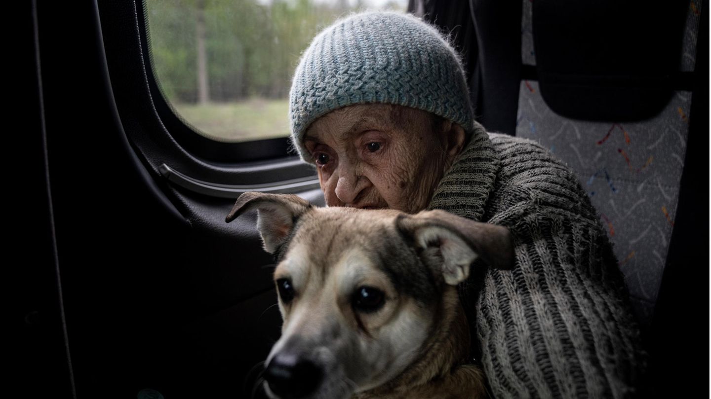 Eine alte Frau und ihr Hund werden aus Lyman in der Region Donezk in der Ostukraine evakuiert