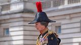 Prinzessin Anne, die Tochter der Queen, ist Oberst des Regiments Blues and Royals. "Trooping the Colour" findet seit 1748 als Geburtstagsparade für das Staatsoberhaupt statt. Dabei marschiert zu Ehren der Monarchin die sogenannte Household Division auf, die königliche Leibgarde. Jedes Jahr werden die Farben - die "Colours" - eines der Regimenter paradiert, daher der Name.