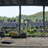 Viseu de Sus, Rumänien