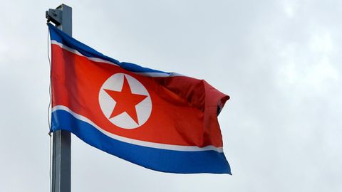 Die Flagge Nordkoreas