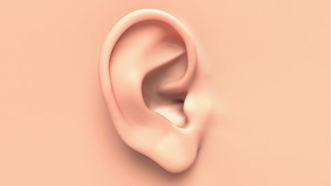 Transplantation eines Ohrs aus dem Drucker