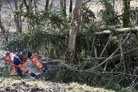 Ein Mitarbeiter der Straßenmeisterei ist mit Aufräumarbeiten beschäftigt