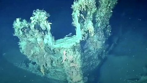 Gefundene Schiffswracks: Unterwasseraufnahmen offenbaren Milliardenschatz