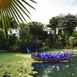 Wie hier an einem Teich ein Glasskulptur des amerikanischen Künstlers Dale Chihuly
