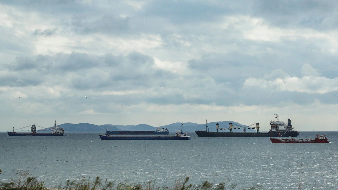 Ukraine War: The Bosphorus as a loophole for Russian trade