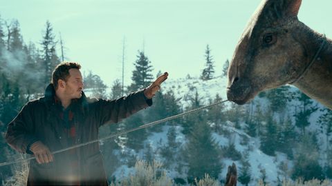 Der Schauspieler Chris Pratt steht vor einem Dinosaurier und hebt beruhigend die Hand