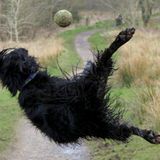 "Beinahe hätte ich ihn geschnappt!"