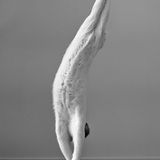 Heimliche Proben für die Staatsoper?