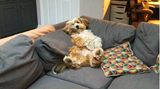 So geht es uns allen nach dem Feierabend.