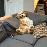 So geht es uns allen nach dem Feierabend.