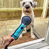 Schade, dass es nur ein Foto und kein Video gibt. Dieser Hund ist sicher ein echter Sing-Star!