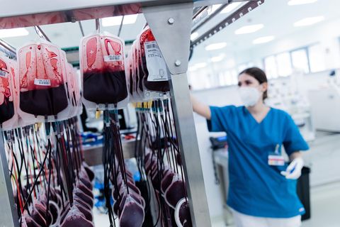 Blutkonserven werden im Zentrallabor des DRK-Blutspendedienstes für Krankenhäuser und Praxen gefiltert und aufbereitet
