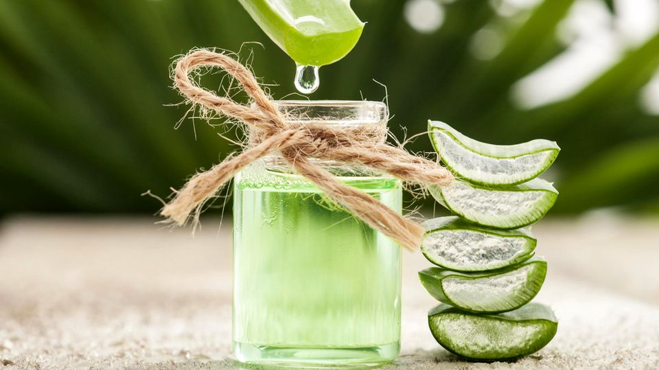 Aloe Vera-Saft tropft in ein Glas gefüllt mit einem Getränk
