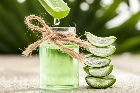 Aloe Vera-Saft tropft in ein Glas gefüllt mit einem Getränk