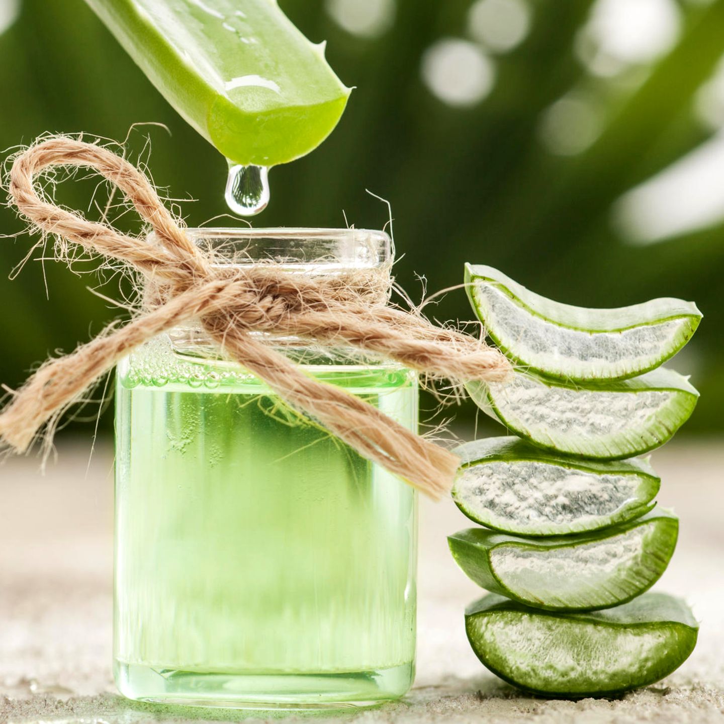 Rezept: So bereiten Sie einen leckeren Cocktail mit Aloe Vera zu