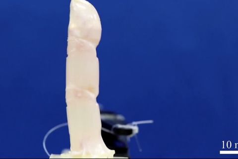 Video: Roboterfinger mit menschlicher Haut