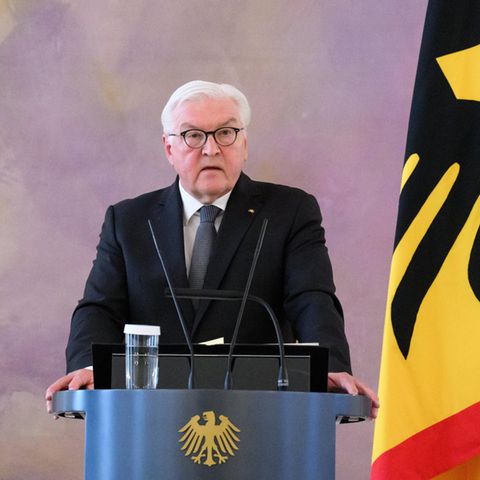 Bundespräsident Frank-Walter Steinmeier