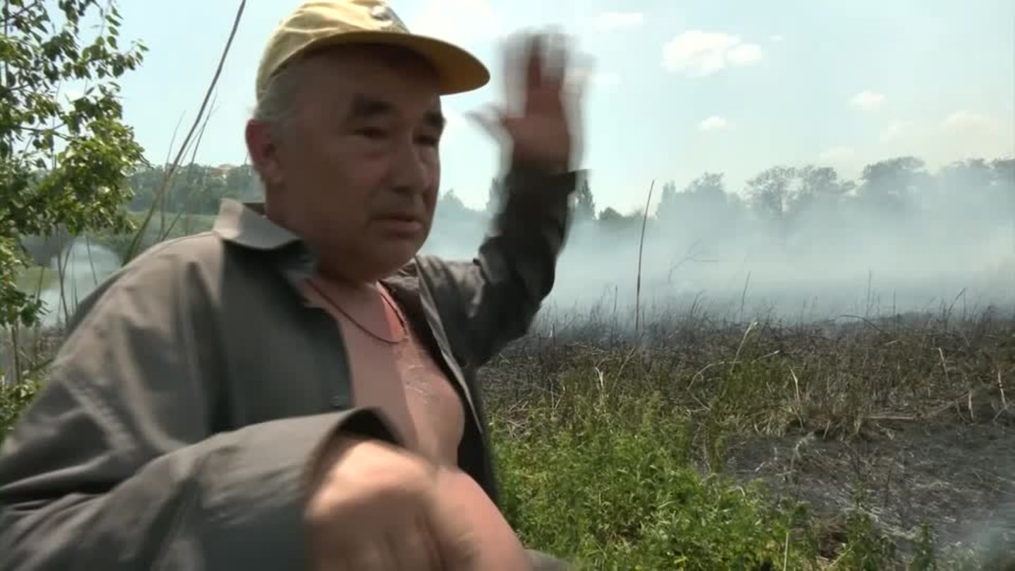 Ukraine: Farmers in Donbass fear for crops due to rocket fire (video)