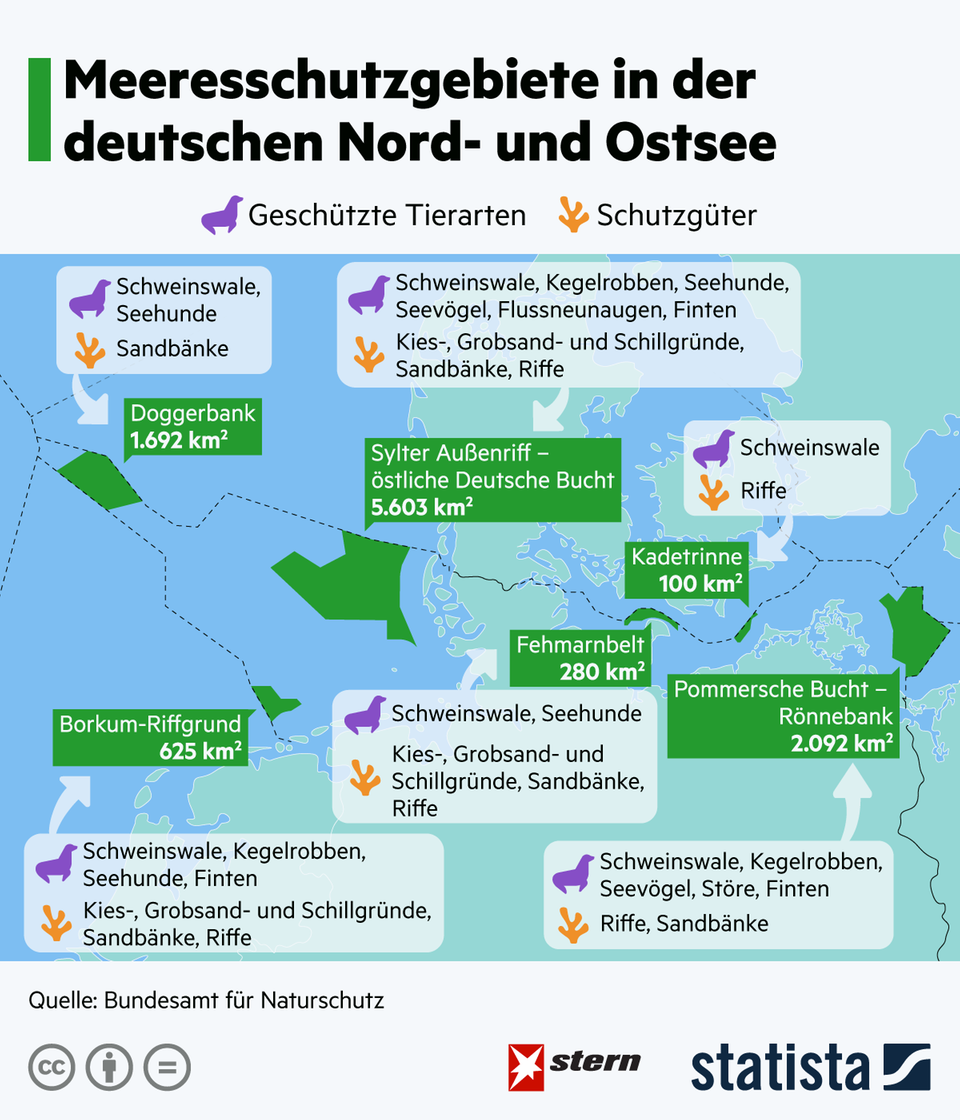 Deutschlands Natur: Das sind die Meeresschutzgebiete in der deutschen Nord- und Ostsee