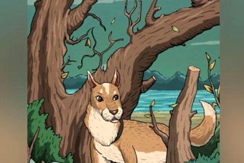 Suchbild: Können Sie die Katze erkennen?