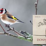 Hörbuch Donna Tartt: Der Distelfink