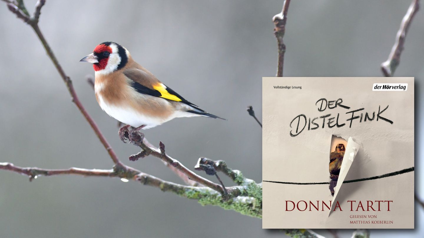 Hörbuch Donna Tartt: Der Distelfink Hörbuch Donna Tartt: Der Distelfink