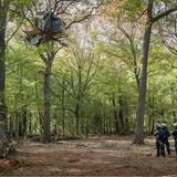 Baumhäuser müssen weichen