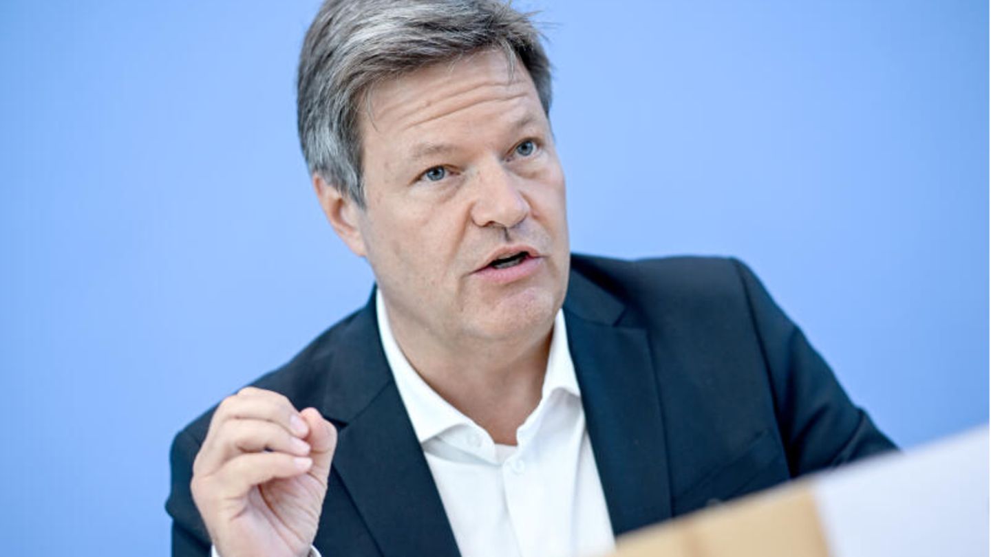 Bundeswirtschaftsminister Robert Habeck: