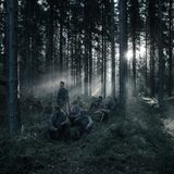 Der Schauplatz des Waldkieges.