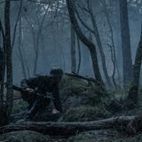 Am Boden des Urwaldes wird es niemals wirklich hell.