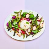 Green BBQ: Spargel und Radieschen