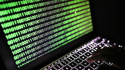 Grüne von Hackern attackiert