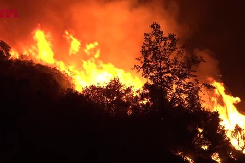 Temperaturen über 40 Grad: Mehrere Großfeuer wüten in Spanien – Hitzewelle verschärft die Lage