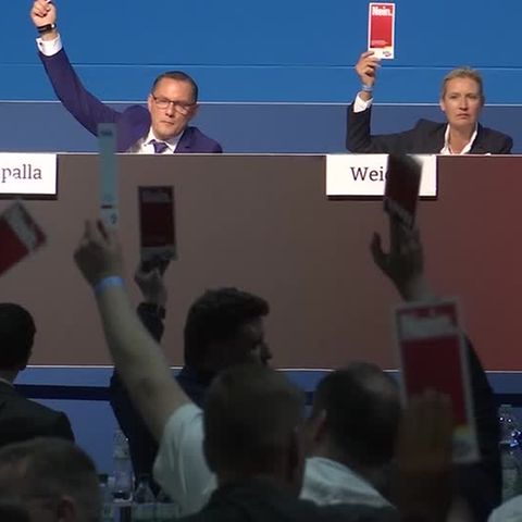 AfD Parteitag