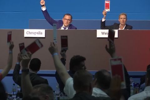AfD Parteitag