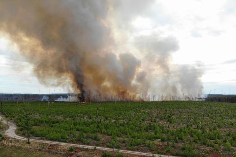 Waldbrand in Brandeburg: Südwestlich von Berlin ist ein Feuer ausgebrochen