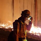 Noch in der Nacht zu Montag legen Einsatzkräfte der Hilfsorganisation @fire Gegenfeuer, um eine weitere Ausbreitung des Waldbrandes bei Beelitz zu verhindern und die Feuerwehr bei der Bekämpung des Feuers zu unterstützen.