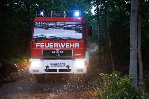Im Scheinwerferlicht eines Feuerwehrfahrzeugs ist der strömende Regen zu sehen, der Montagmorgen in einem Waldstück zwischen Treuenbriezen und Beelitz fällt
