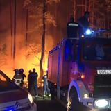 Waldbrand Brandenburg Treuenbrietzen