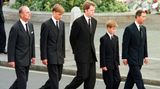 Prinz William