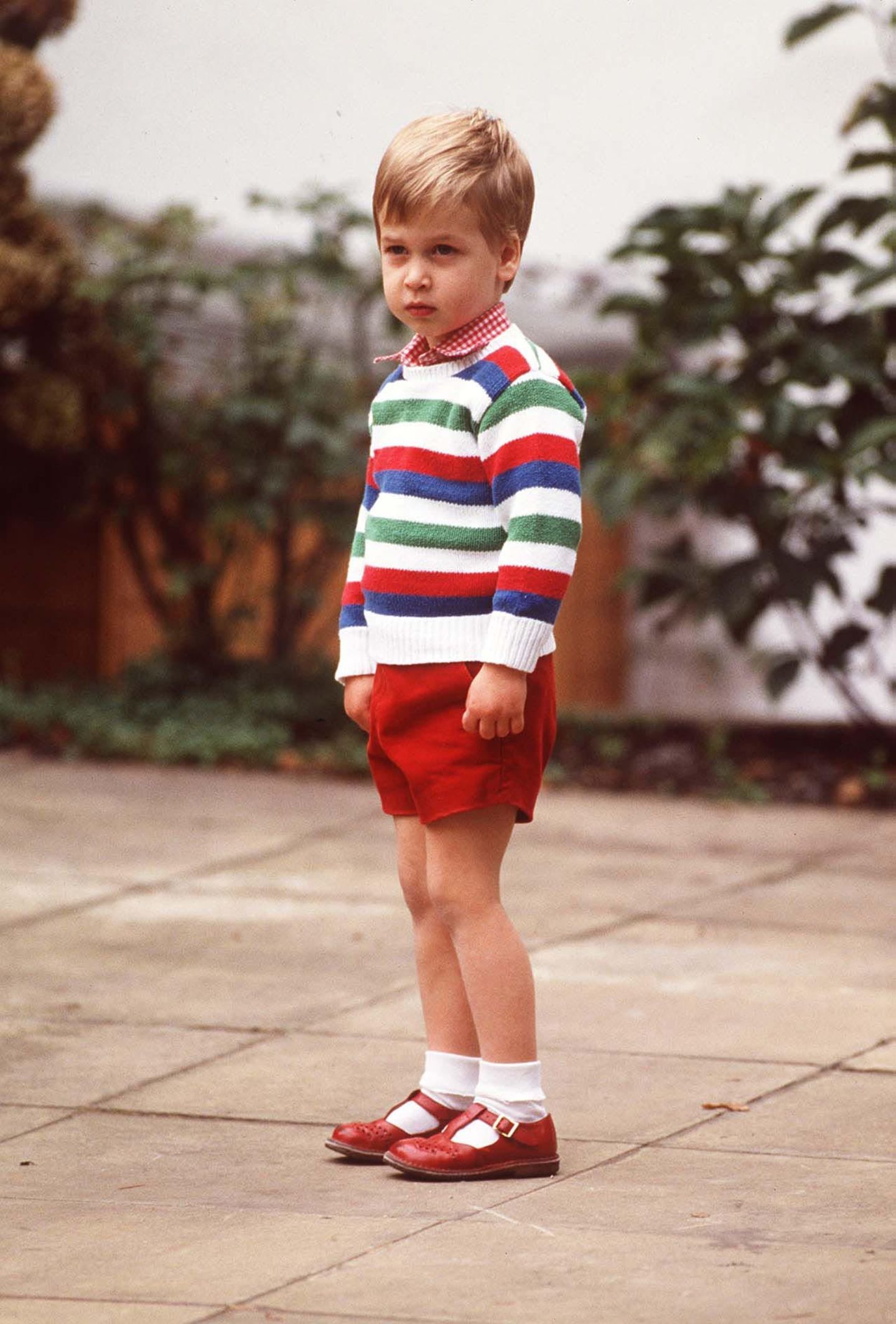 Prinz William