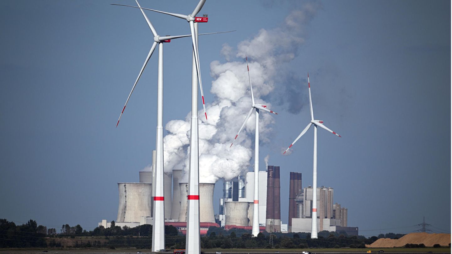 Junge Menschen gehen gegen die Energiecharta vor