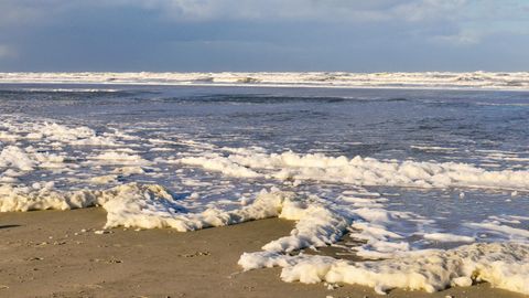 Weißer Algenschaum auf dem Sandstrand der Insel Juist mit der Nordsee in der Ferne
