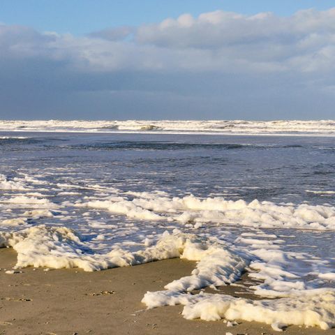 Weißer Algenschaum auf dem Sandstrand der Insel Juist mit der Nordsee in der Ferne