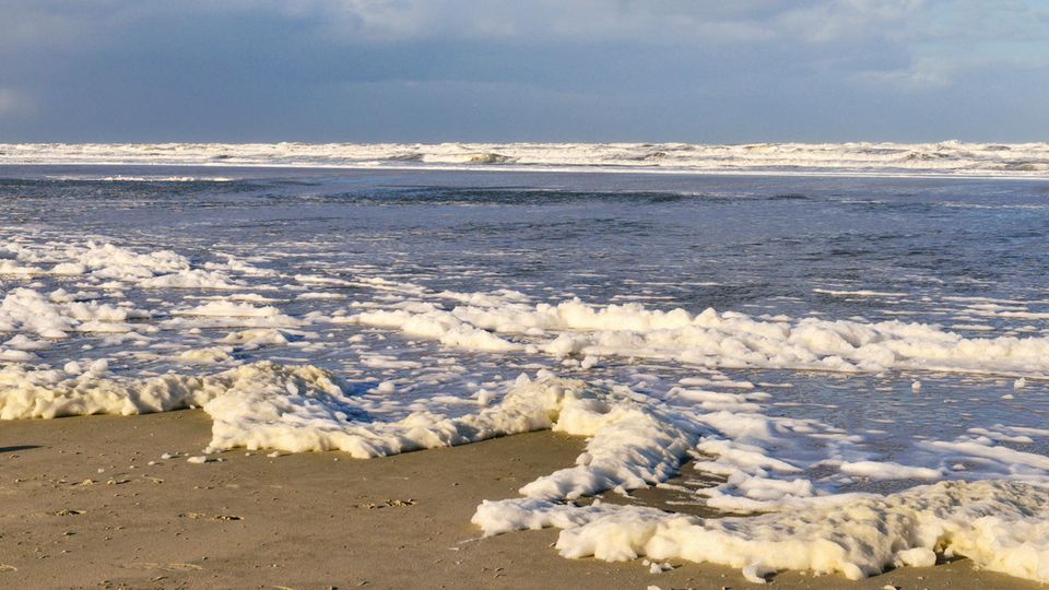 Weißer Algenschaum auf dem Sandstrand der Insel Juist mit der Nordsee in der Ferne