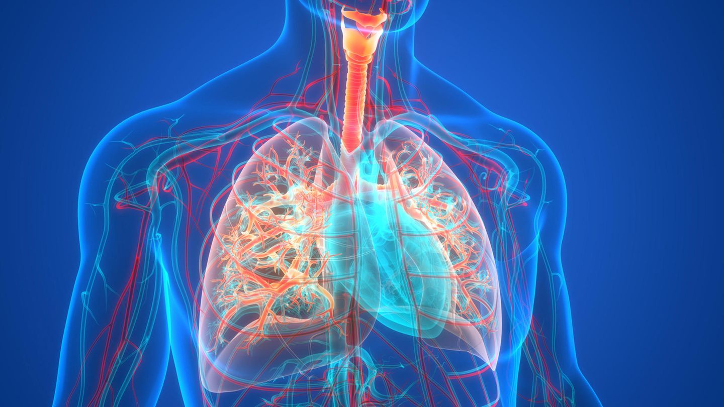 Anticholinergika