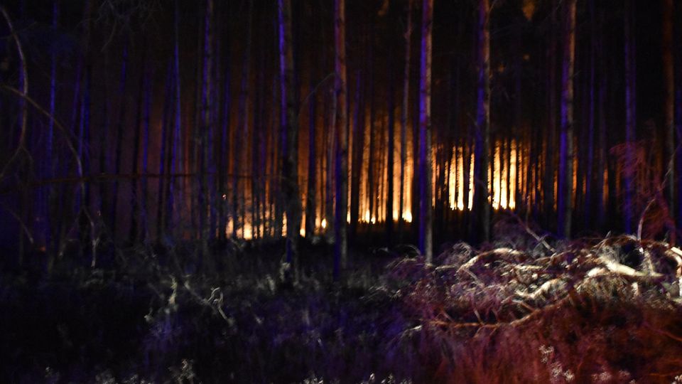 Brennender Wald bei Nacht