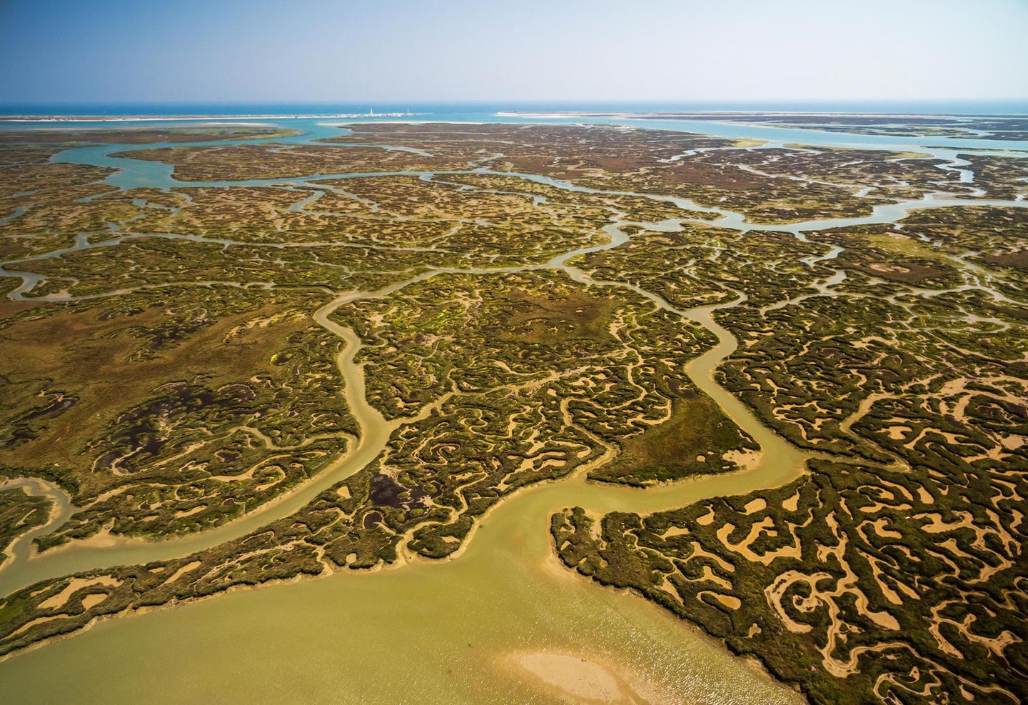 Die Ria Formosa ist ein komplexes Lagunensystem an der Südküste der Algarve. Ihre weitverzweigten Wasserarme bieten Schutz und Nahrung für Abermillionen Meeresbewohner