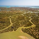 Die Ria Formosa ist ein komplexes Lagunensystem an der Südküste der Algarve. Ihre weitverzweigten Wasserarme bieten Schutz und Nahrung für Abermillionen Meeresbewohner